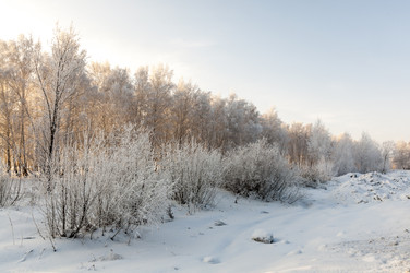 Similar image 22205531