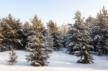 Similar image 22205532