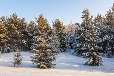 Similar image 22205533