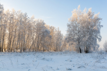 Similar image 22205535