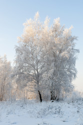 Similar image 22205537