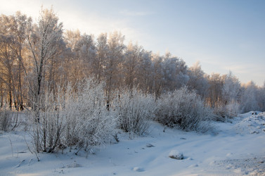 Similar image 22205538