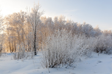 Similar image 22205540