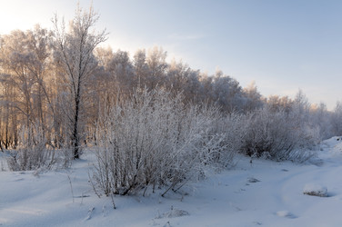 Similar image 22205541