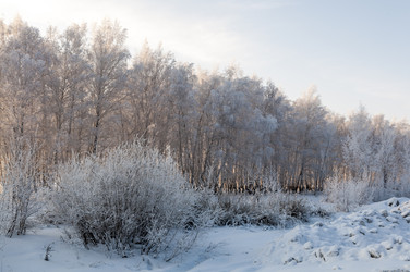 Similar image 22205542