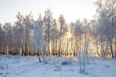 Similar image 22205543