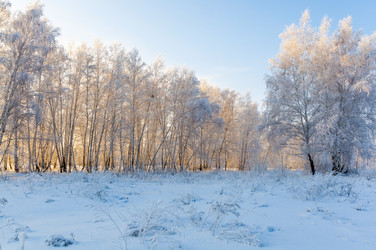 Similar image 22205942