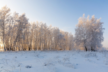 Similar image 22205946