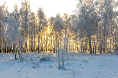 Similar image 22205952