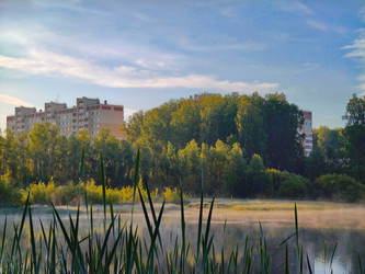 Similar image 22203279