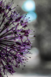 Similar image 22202240