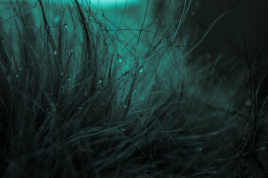 Similar image 22202241