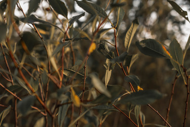 Similar image 22202244