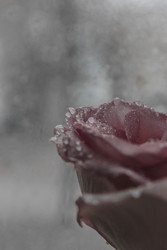 Similar image 22202262