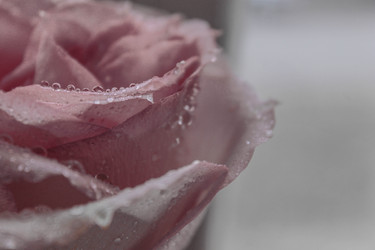 Similar image 22202263