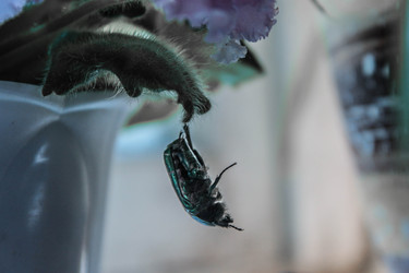 Similar image 22202264