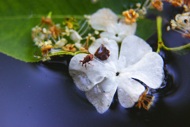 Similar image 22202266