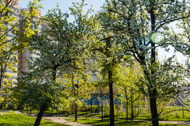 Similar image 22202273