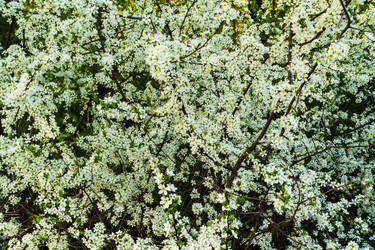 Similar image 22202275