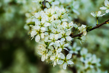 Similar image 22202277