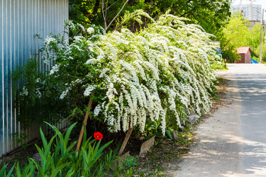 Similar image 22202279