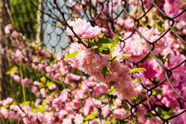 Similar image 22203188