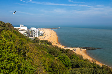 Similar image 22206485