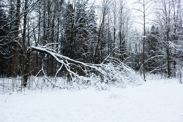 Similar image 22204627