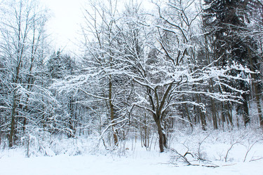 Similar image 22204628