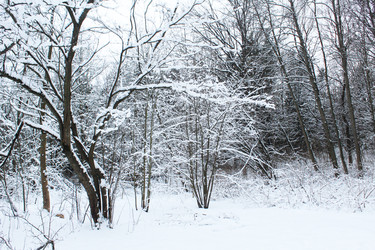 Similar image 22204629