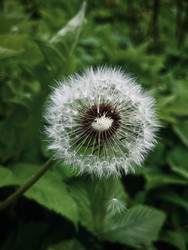 Similar image 22205569