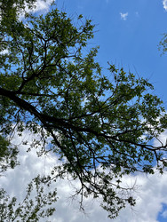 Similar image 22205570