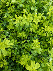 Similar image 22205571