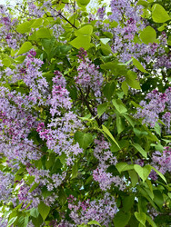 Similar image 22205572