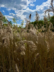 Similar image 22205573