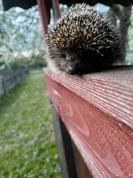 Similar image 22205574