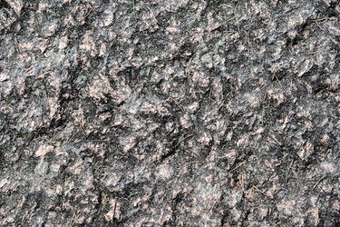 Similar image 22202290