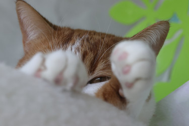 Similar image 22202301