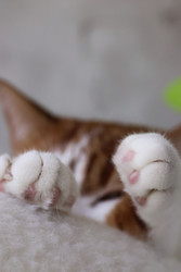 Similar image 22202302