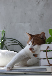 Similar image 22202303