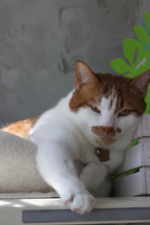 Similar image 22202304