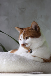 Similar image 22202305