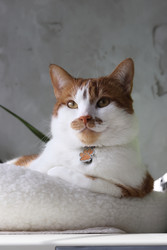 Similar image 22202306