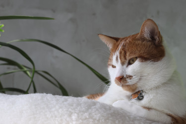 Similar image 22202307