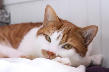 Similar image 22202308