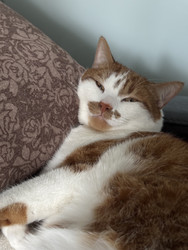 Similar image 22202310