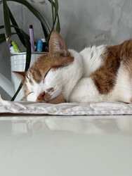 Similar image 22202313