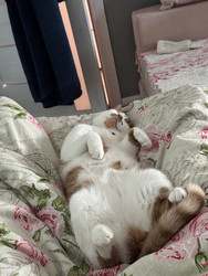 Similar image 22202314