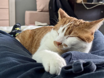 Similar image 22202317