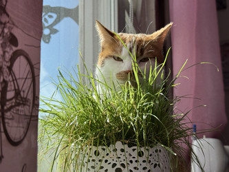 Similar image 22202319